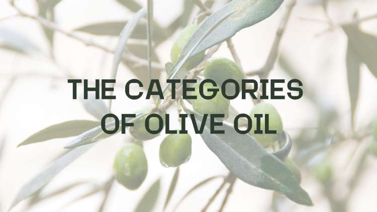 The Categories Of Olive Oil | Biolive Blog